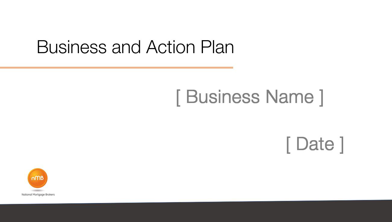 Business and Action Plan (BAP)